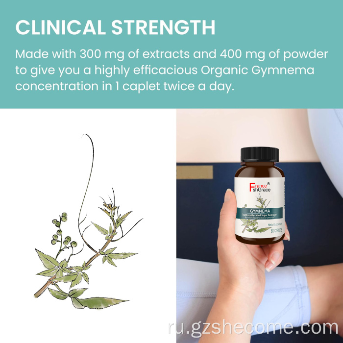 Органическая гимнация Sylvestre Дополнение поддержки здоровья